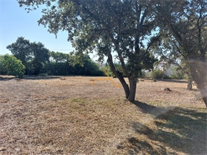 terrain constructible à la vente -   26770  TAULIGNAN, surface 0 m2 vente terrain constructible - ARI14283